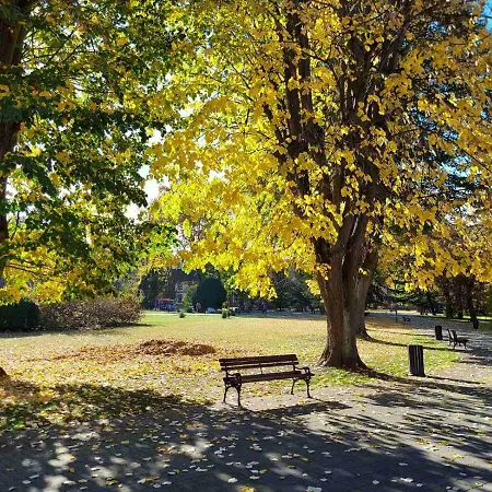 Apartamento Durdevak ,banja Koviljaca Banja Koviljača