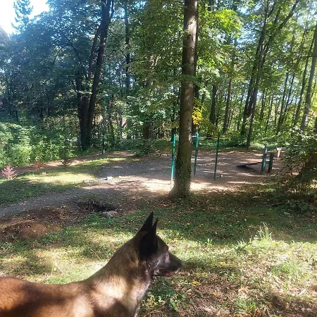 Durdevak ,banja Koviljaca Banja Koviljača