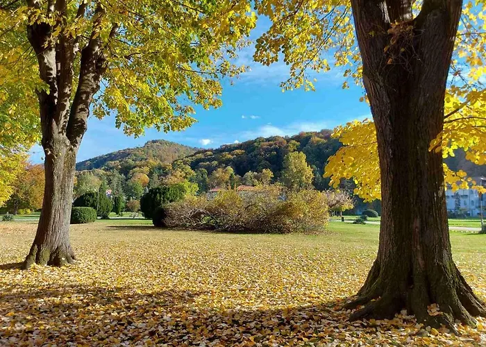 Durdevak ,banja Koviljaca Apartament *