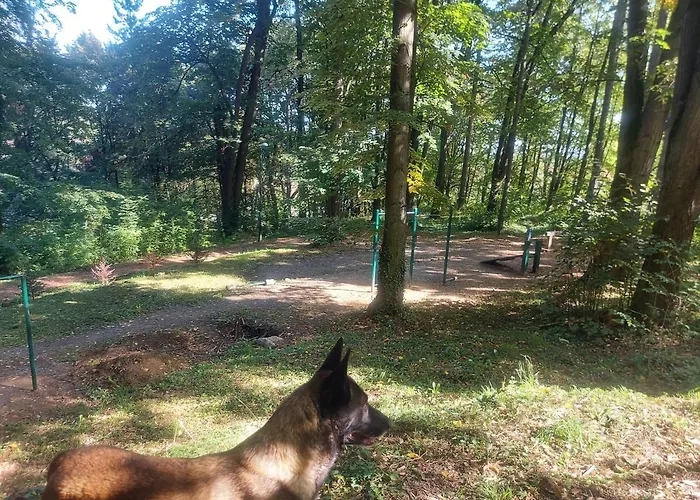 Durdevak ,banja Koviljaca Banja Koviljača